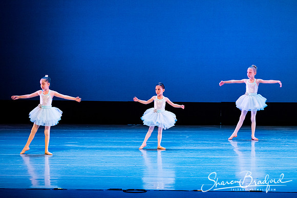 Crystal Fairies pc Sharen Bradford-0401