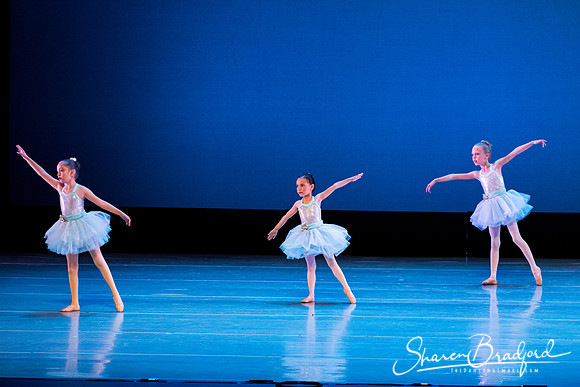 Crystal Fairies pc Sharen Bradford-0402