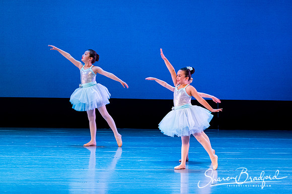 Crystal Fairies pc Sharen Bradford-0403