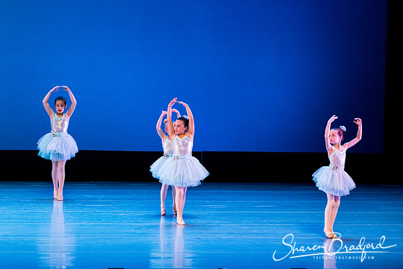 Crystal Fairies pc Sharen Bradford-0407