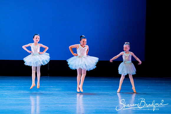 Crystal Fairies pc Sharen Bradford-0410