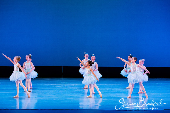 Crystal Fairies pc Sharen Bradford-0416