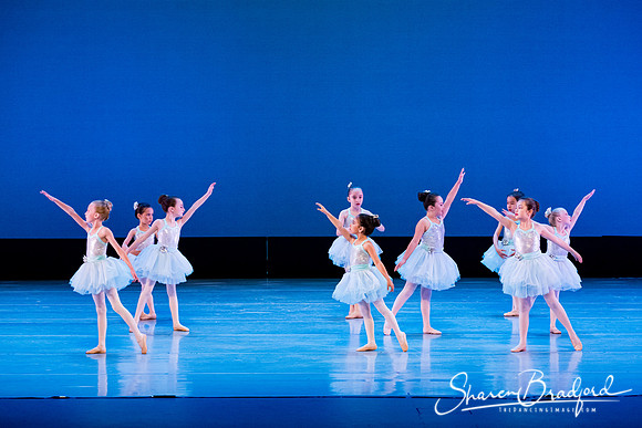 Crystal Fairies pc Sharen Bradford-0417