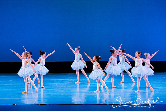 Crystal Fairies pc Sharen Bradford-0418