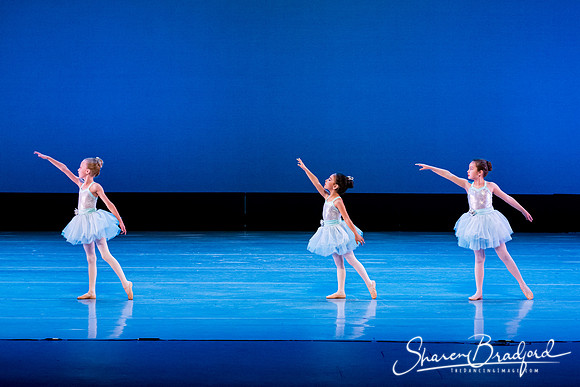 Crystal Fairies pc Sharen Bradford-0420