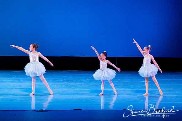 Crystal Fairies pc Sharen Bradford-0421