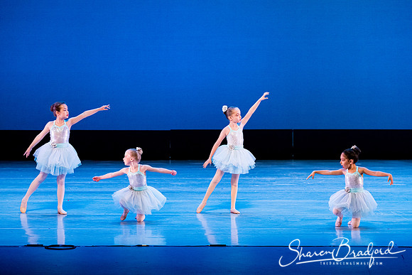 Crystal Fairies pc Sharen Bradford-0427