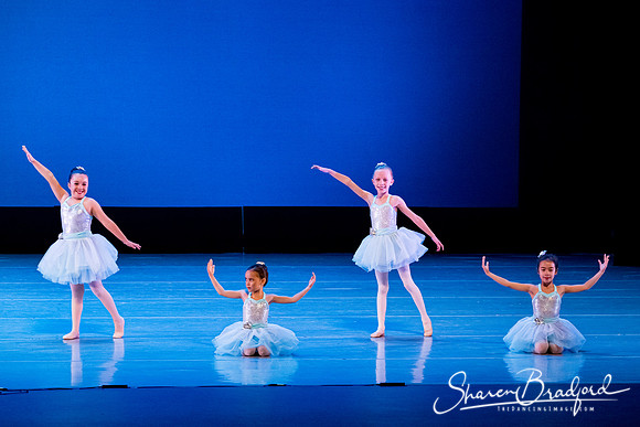 Crystal Fairies pc Sharen Bradford-0431