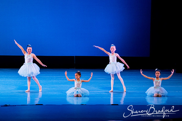Crystal Fairies pc Sharen Bradford-0432