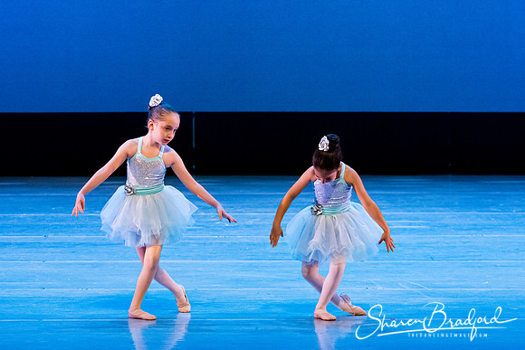 Crystal Fairies pc Sharen Bradford-0434