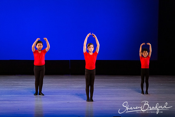 Danseurs pc Sharen Bradford-0438