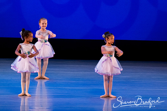 Garden Waltz pc Sharen Bradford-0862