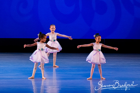 Garden Waltz pc Sharen Bradford-0863