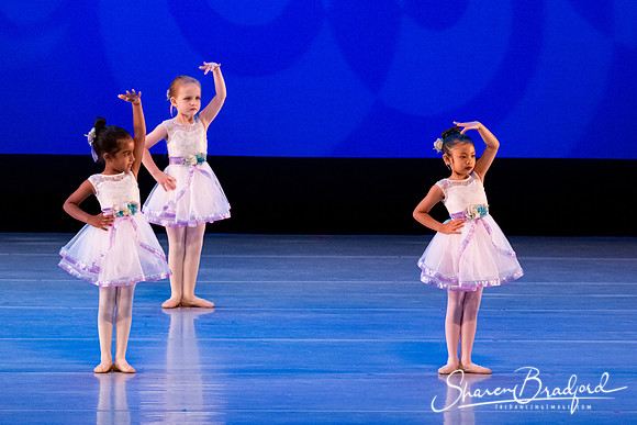 Garden Waltz pc Sharen Bradford-0877