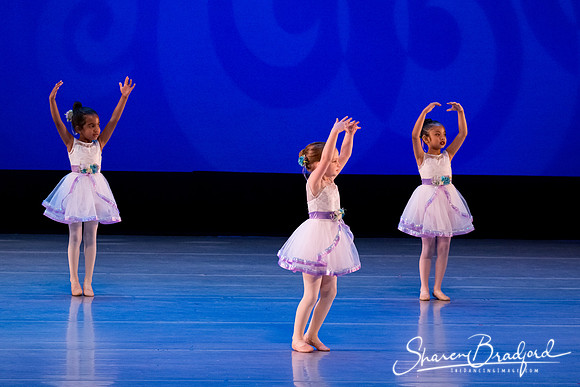 Garden Waltz pc Sharen Bradford-0879