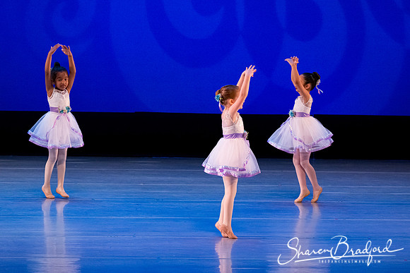 Garden Waltz pc Sharen Bradford-0880