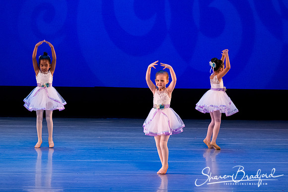 Garden Waltz pc Sharen Bradford-0881