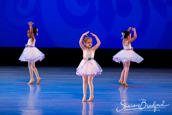 Garden Waltz pc Sharen Bradford-0883
