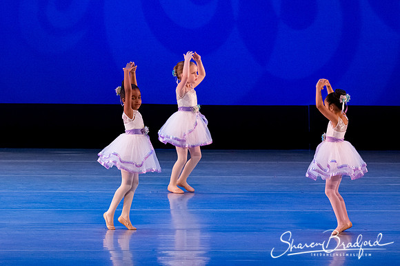 Garden Waltz pc Sharen Bradford-0884