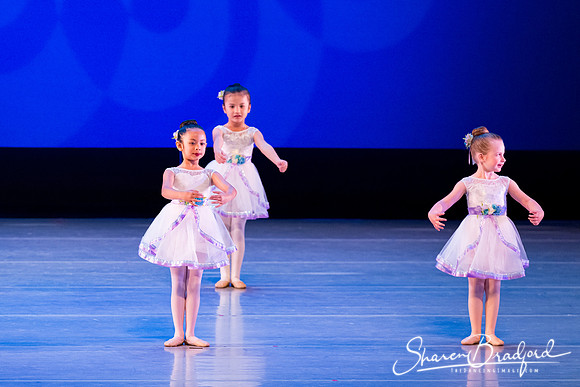 Garden Waltz pc Sharen Bradford-0674