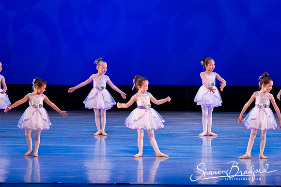 Garden Waltz pc Sharen Bradford-0677