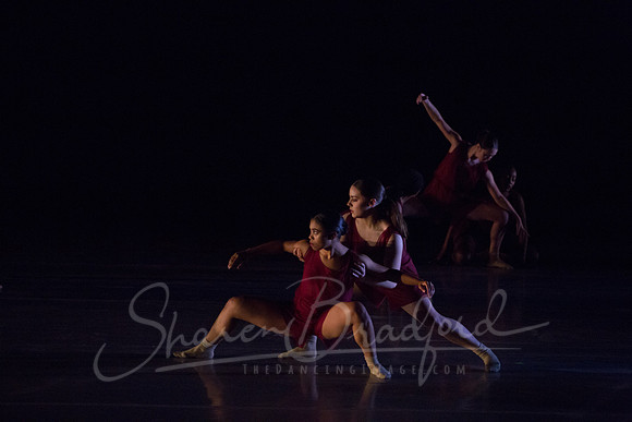 Bloom pc Sharen Bradford-9143