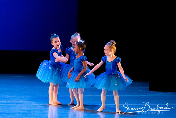 Ballet Fairies pc Sharen Bradford-1032