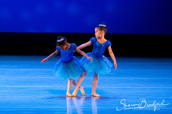 Ballet Fairies pc Sharen Bradford-1040
