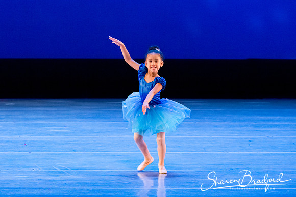 Ballet Fairies pc Sharen Bradford-1042