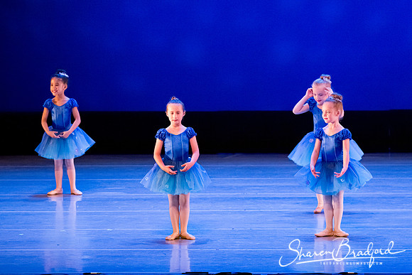 Ballet Fairies pc Sharen Bradford-1006