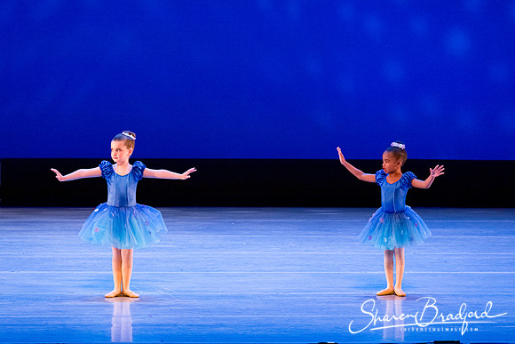 Ballet Fairies pc Sharen Bradford-1007