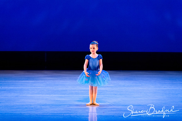 Ballet Fairies pc Sharen Bradford-1008