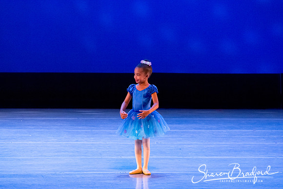Ballet Fairies pc Sharen Bradford-1010