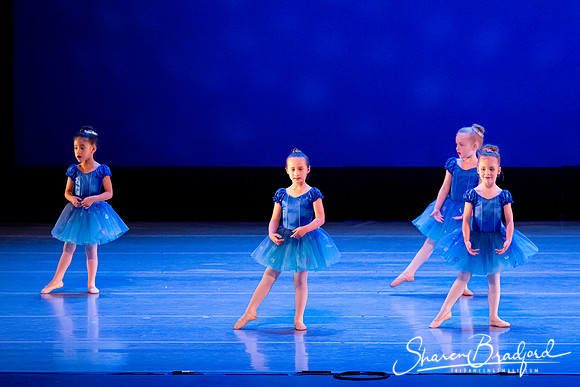 Ballet Fairies pc Sharen Bradford-1013