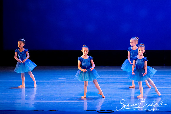 Ballet Fairies pc Sharen Bradford-1014