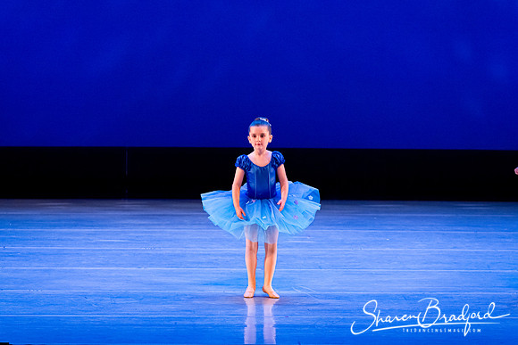 Ballet Fairies pc Sharen Bradford-1015