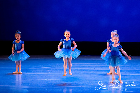 Ballet Fairies pc Sharen Bradford-1016