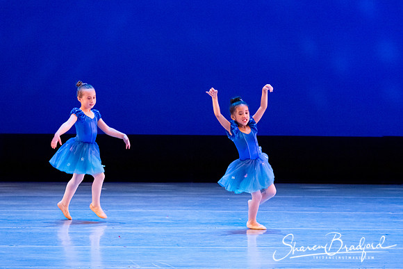 Ballet Fairies pc Sharen Bradford-1018