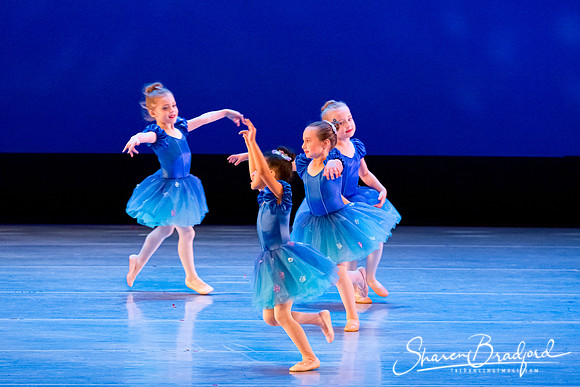 Ballet Fairies pc Sharen Bradford-1019