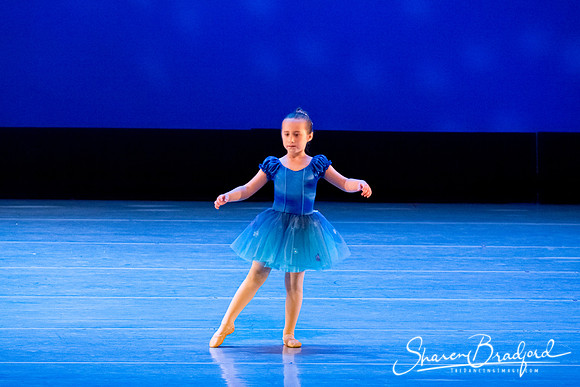 Ballet Fairies pc Sharen Bradford-1027