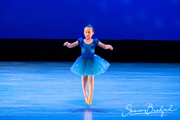 Ballet Fairies pc Sharen Bradford-1028