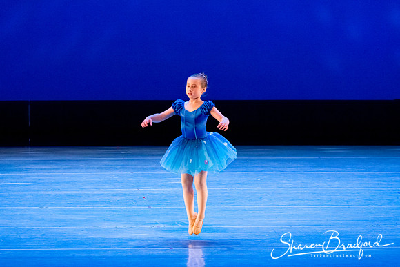 Ballet Fairies pc Sharen Bradford-1029