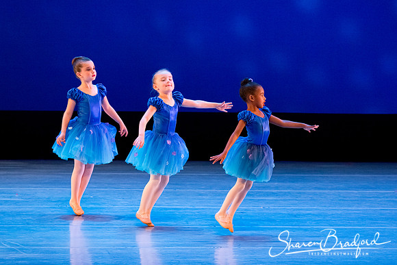 Ballet Fairies pc Sharen Bradford-1031