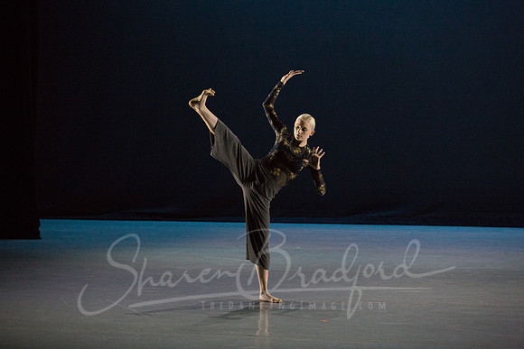 Beyond the Cover pc Sharen Bradford-6856