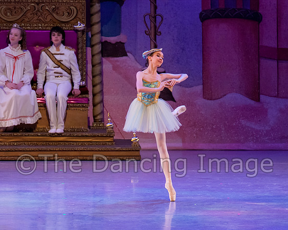 IMG_1379