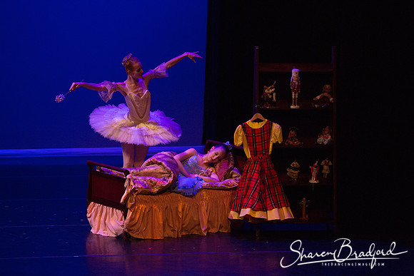 Clara's Dream 2019 pc Sharen Bradford-0036