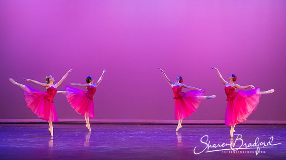 Waltz of the Flowers pc Sharen Bradford-2742