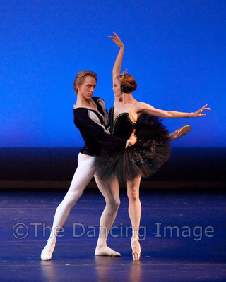 Black Swan-1107