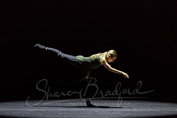 Same but Different pc Sharen Bradford-0321