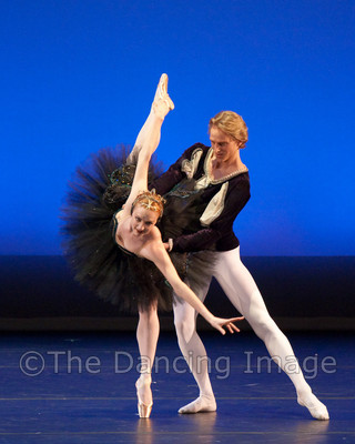 Black Swan-1136